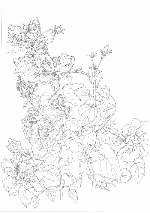 Keele School of Art Art diploma